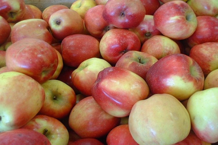 Frutas del campo morelense terminan en el dulce ponche