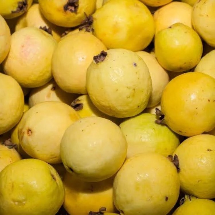 Frutas del campo morelense terminan en el dulce ponche