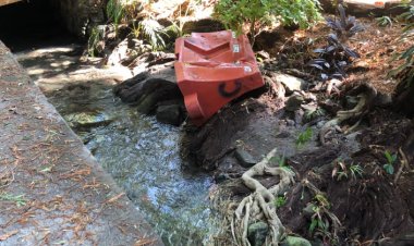 Vecinos denuncian abandono y grave  deterioro del Parque Chapultepec