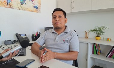 Llaman a renovar casi 90 mil  plásticos INE que caducan