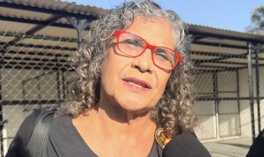 Advierten por el riesgo de jaurías  con perros callejeros; hay ataques