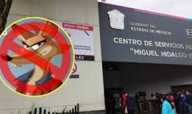 Denuncian páginas falsas  de Movilidad y Transporte