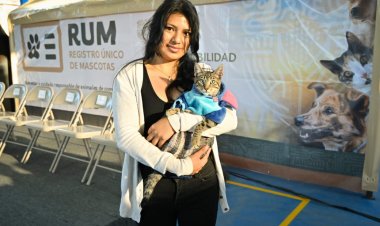 Arrancó el registro de mascotas en Morelos