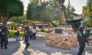 Van fuerzas municipales, estatales y  federales Vs. crimen en carnavales