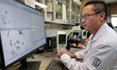 Hay tratamiento Vs. síndrome de  hemiplejia alternante en infancia