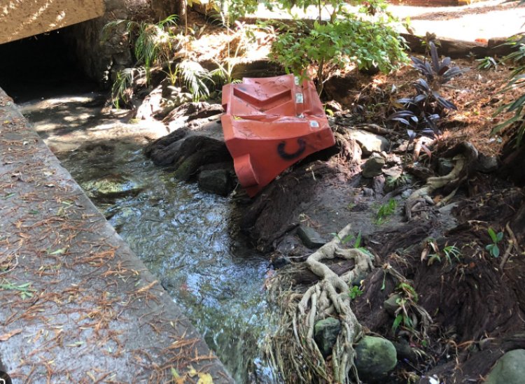 Vecinos denuncian abandono y grave  deterioro del Parque Chapultepec