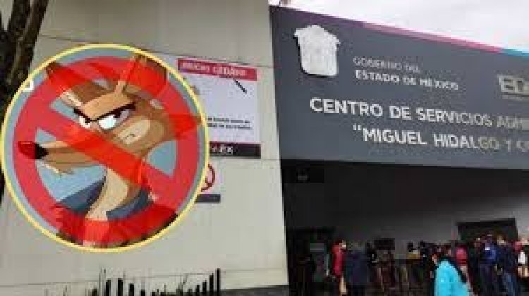 Denuncian páginas falsas  de Movilidad y Transporte