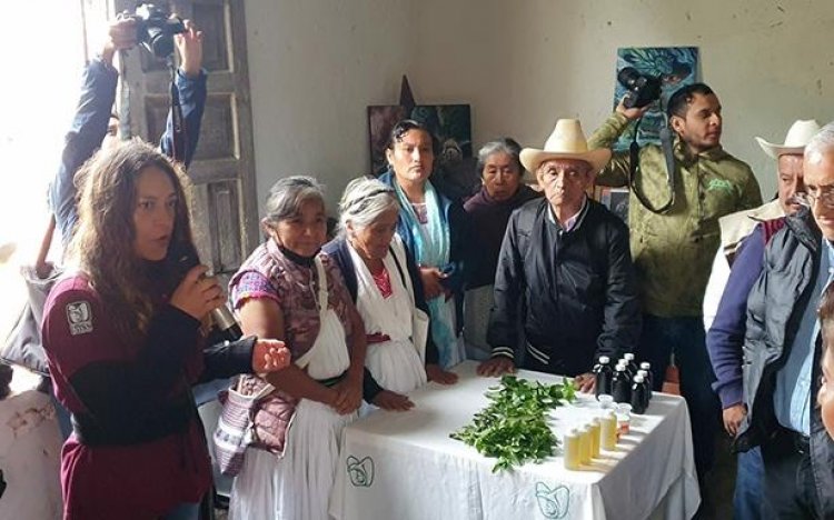 Se promueve el fomento a la salud para pueblos indígenas