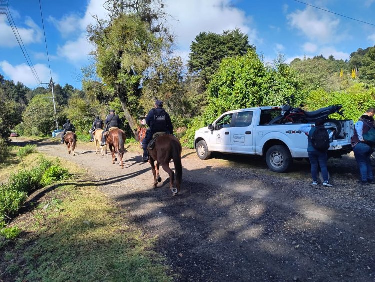 Realizan acciones en Huitzilac  para buscar a desaparecidos