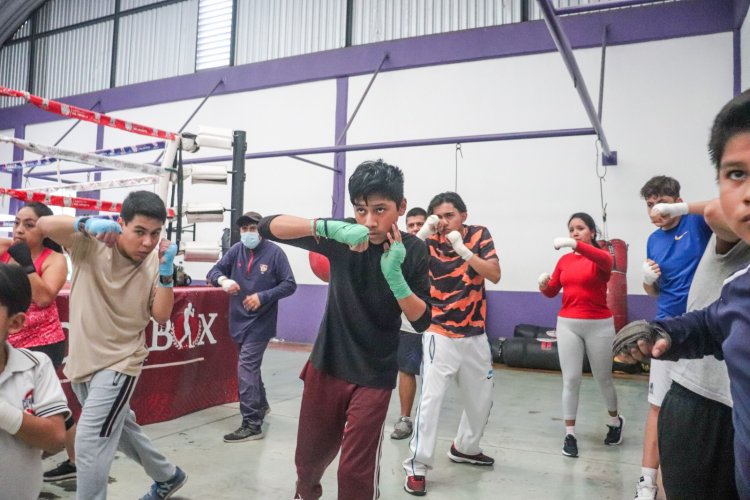 El Canelo y la Barby Juárez darán  clases a boxeadores morelenses