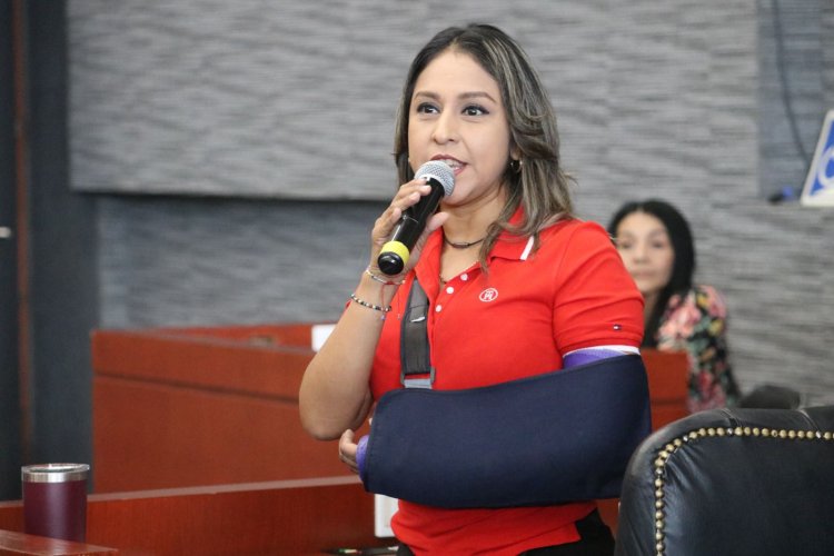 Destaca diputada Nayla Ruiz   los pendientes en la paridad