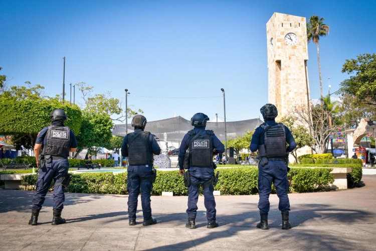 Van fuerzas municipales, estatales y  federales Vs. crimen en carnavales