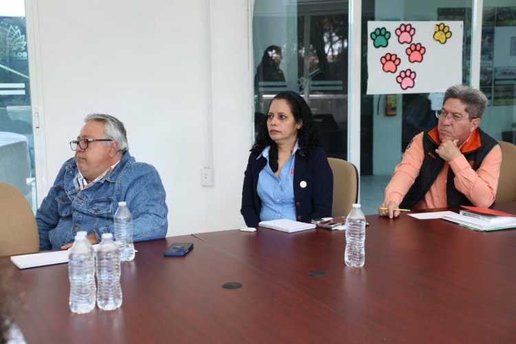 Morelos, presente en reunión nacional sobre vida saludable