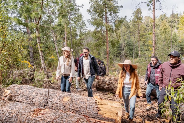 Realizaron recorrido tripartita  para proteger bosque de agua