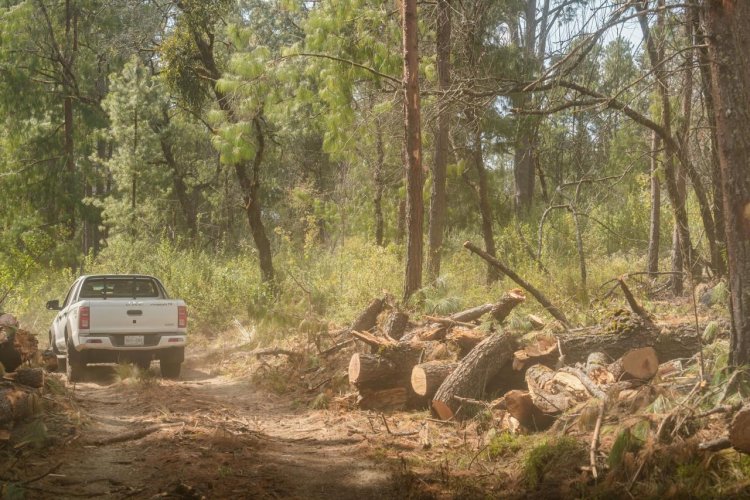 Realizaron recorrido tripartita  para proteger bosque de agua