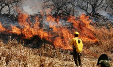 Piden vigilar quemas de parcelas durante sequía