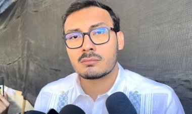 La tala se llevó ya 4 mil  Has. de Bosque de Agua