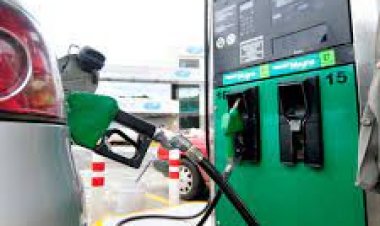 Mejora vigilancia sobre precios de las gasolina