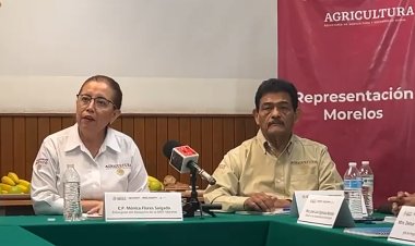 Anuncian ampliación del Programa Especial de Energía para el campo