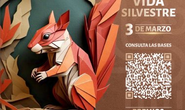 Invitan a exposición de arte de fauna silvestre