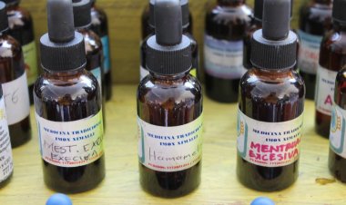 Respaldan la Caravana  de Medicina Tradicional