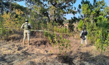 Hallan el cuerpo de  uno en Cuernavaca