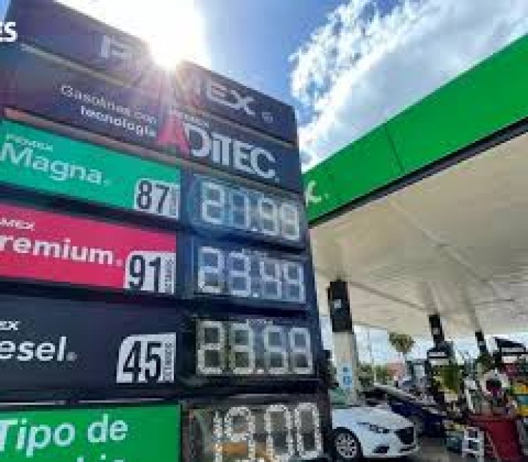 Mejora vigilancia sobre precios de las gasolina