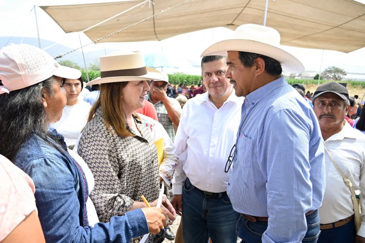 Ejido San Antonio tiene nueva  tecnificación de red de agua