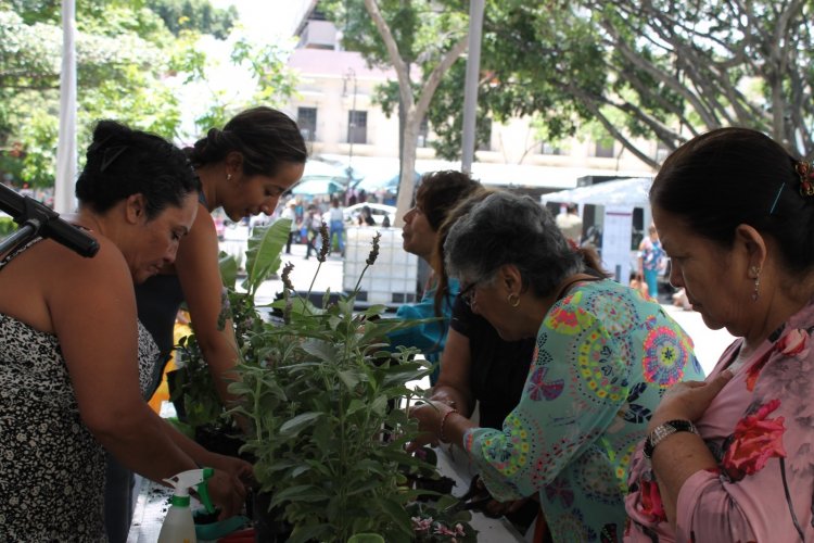 Respaldan la Caravana  de Medicina Tradicional