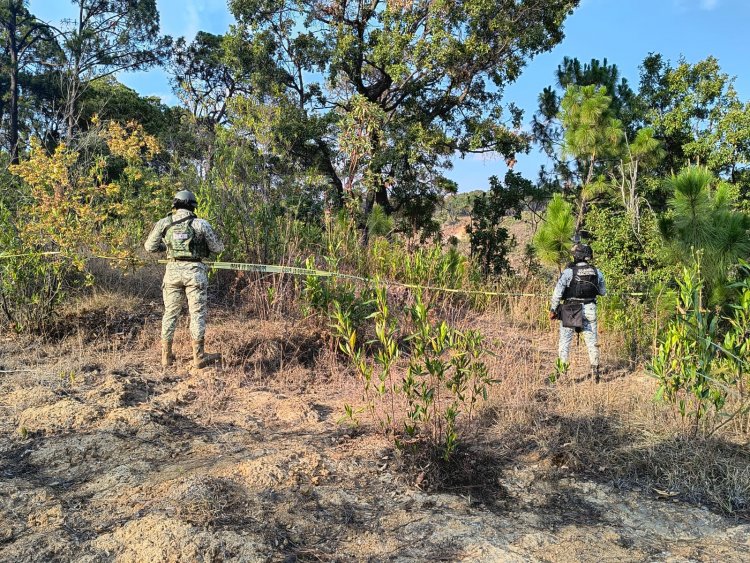 Hallan el cuerpo de  uno en Cuernavaca