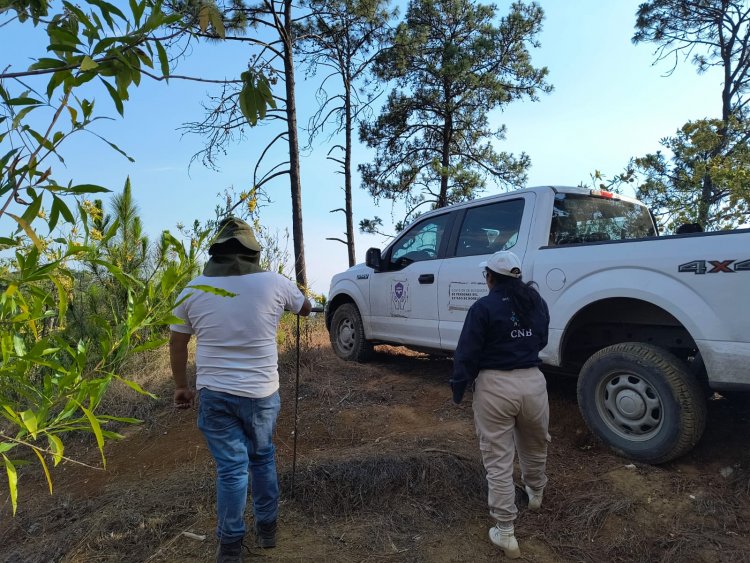 Hallan el cuerpo de  uno en Cuernavaca