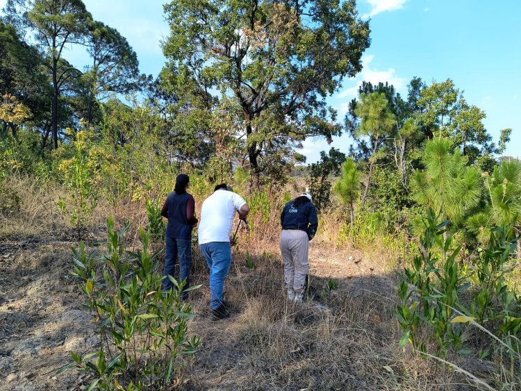 Hallan el cuerpo de  uno en Cuernavaca