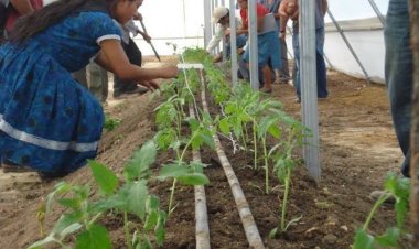 Buscan fortalecer la innovación  en el sector rural de la entidad
