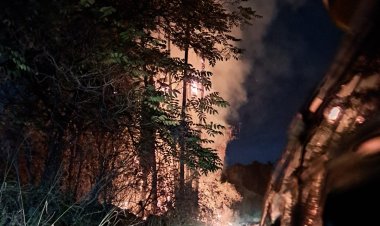 Las llamas llegaron  al "Cañón de Lobos"