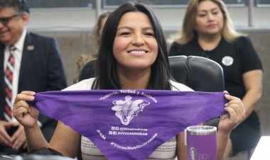 Insuficientes, acciones a 10 años  de Alerta de Violencia de Género