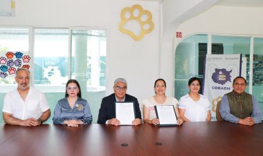 Hay apoyos educativos, culturales y de asesoría a comunidad de Cobaem