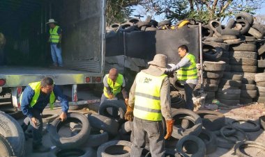 Más de tres mil llantas para  disposición final en Jiutepec