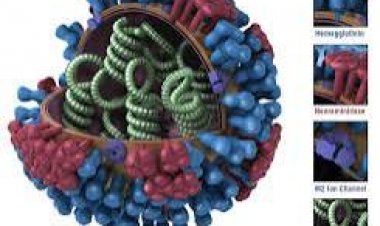 Vacunación contra influenza  concluirá el próximo día 31