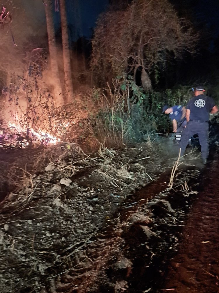 Las llamas llegaron  al "Cañón de Lobos"