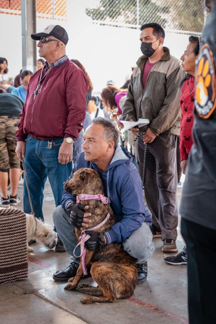 Llegó a Ahuatepec el registro  de mascotas con esterilización