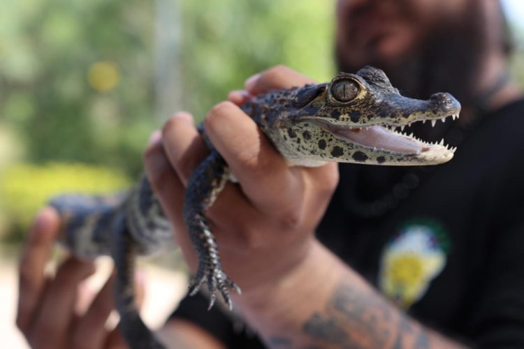 Ayuntamiento de Jiutepec organizó elTrailer de la Ciencia