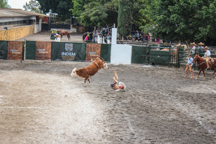 Habrá representación local de  rodeo en nacionales de Conade