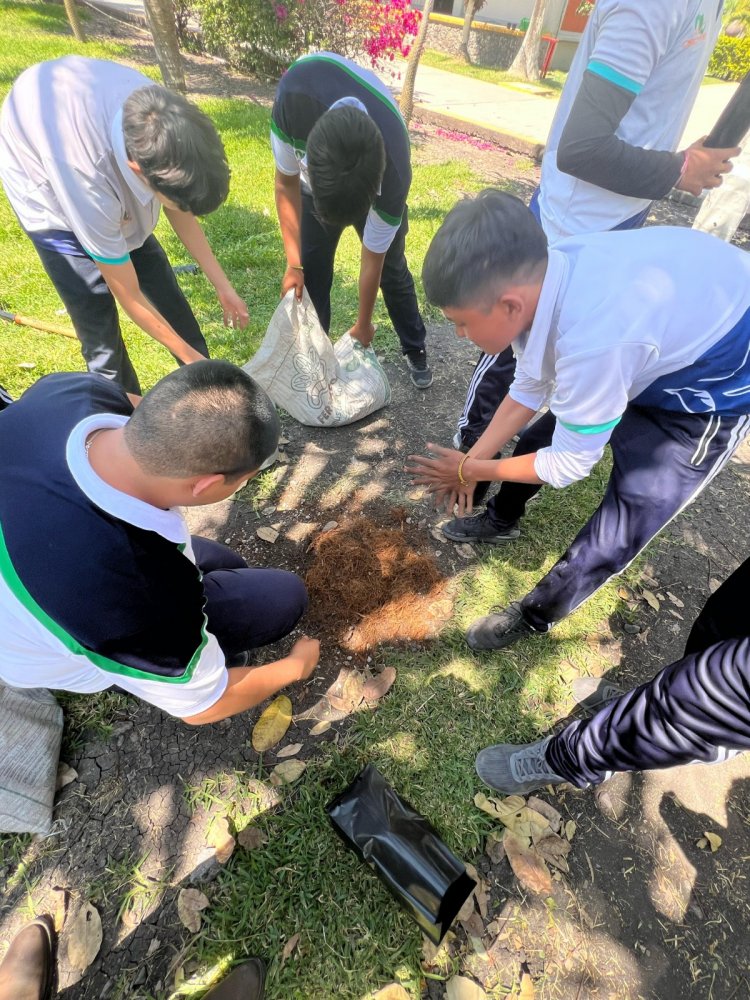 Recibirán impulso los viveros  forestales escolares de CECyTE