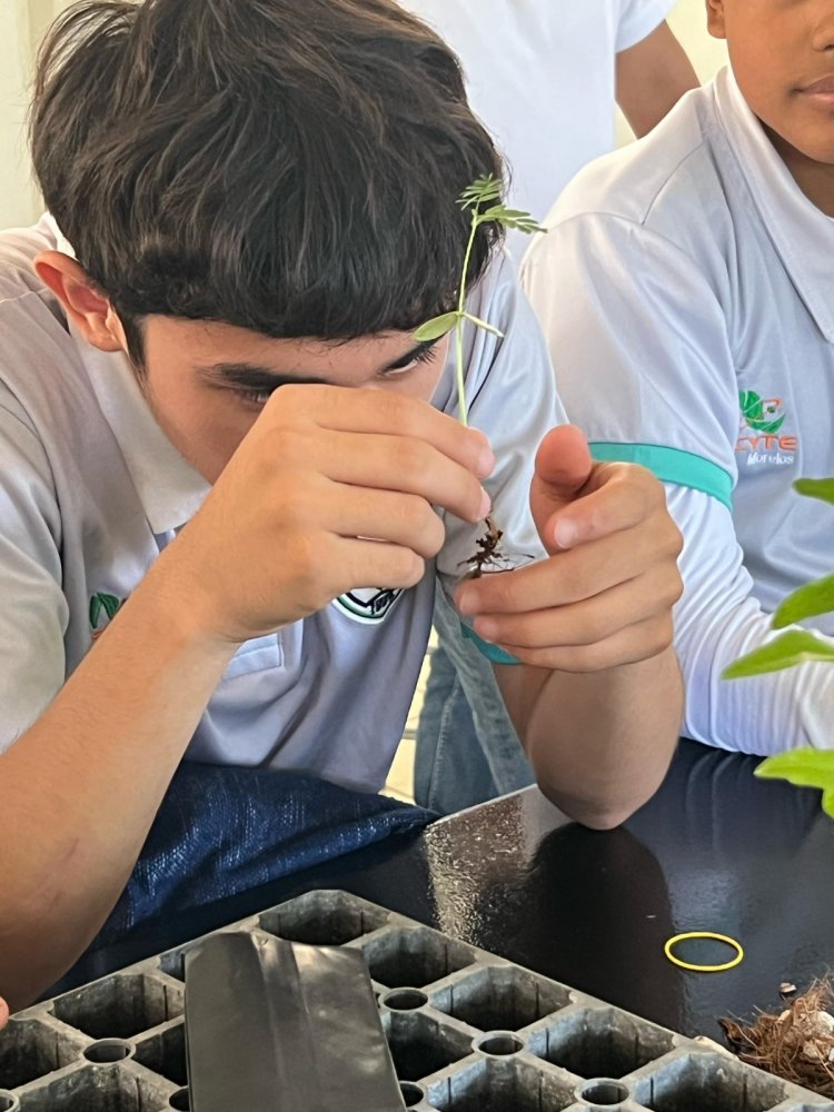 Recibirán impulso los viveros  forestales escolares de CECyTE