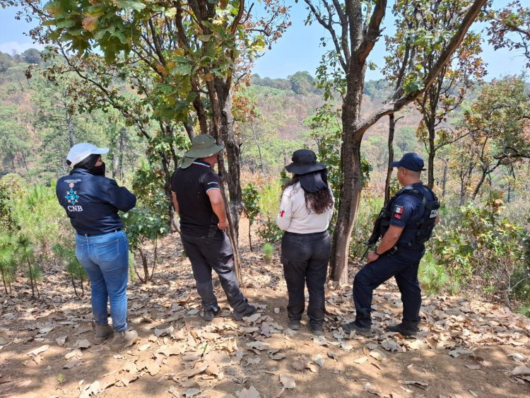 En Cuernavaca, se están reforzando  acciones de búsqueda de personas