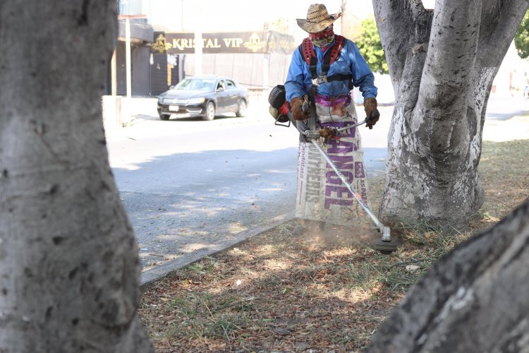 Ayto. de Jiutepec hizo limpieza en camellón del bulevar Cuauhnáhuac