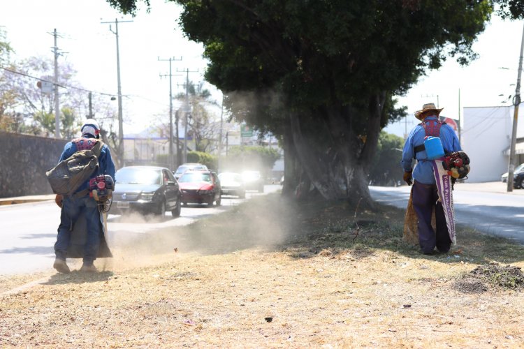 Ayto. de Jiutepec hizo limpieza en camellón del bulevar Cuauhnáhuac