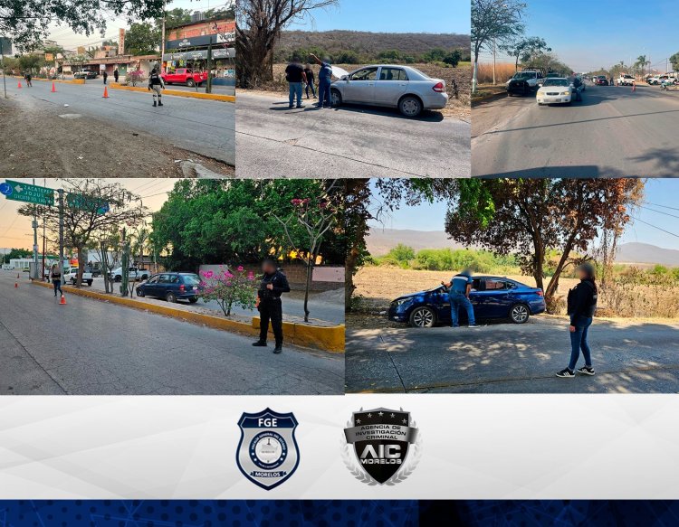 Fueron a la caza de vehículos  robados en el sur del estado