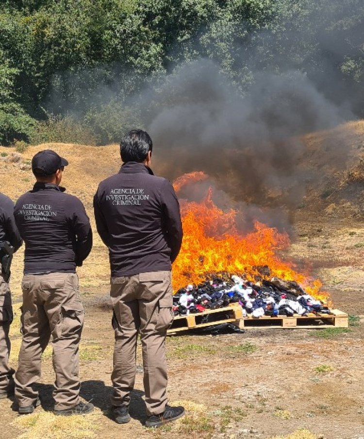 Grandes golpes al crimen y destrucción  de enervantes por parte de FGR en Morelos