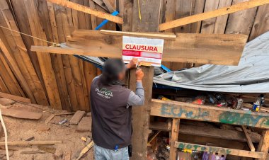 Aserradero clandestino en Huitzilac, clausurado